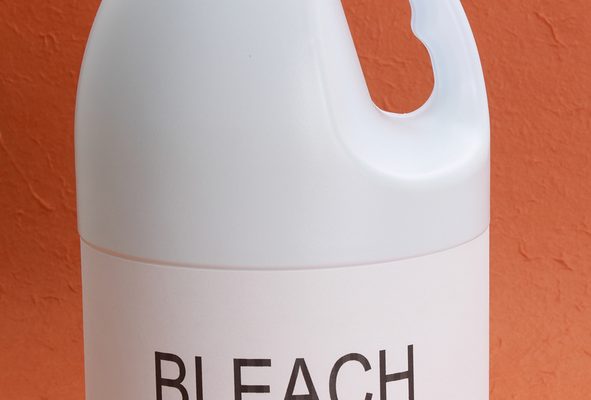 bleach for mold