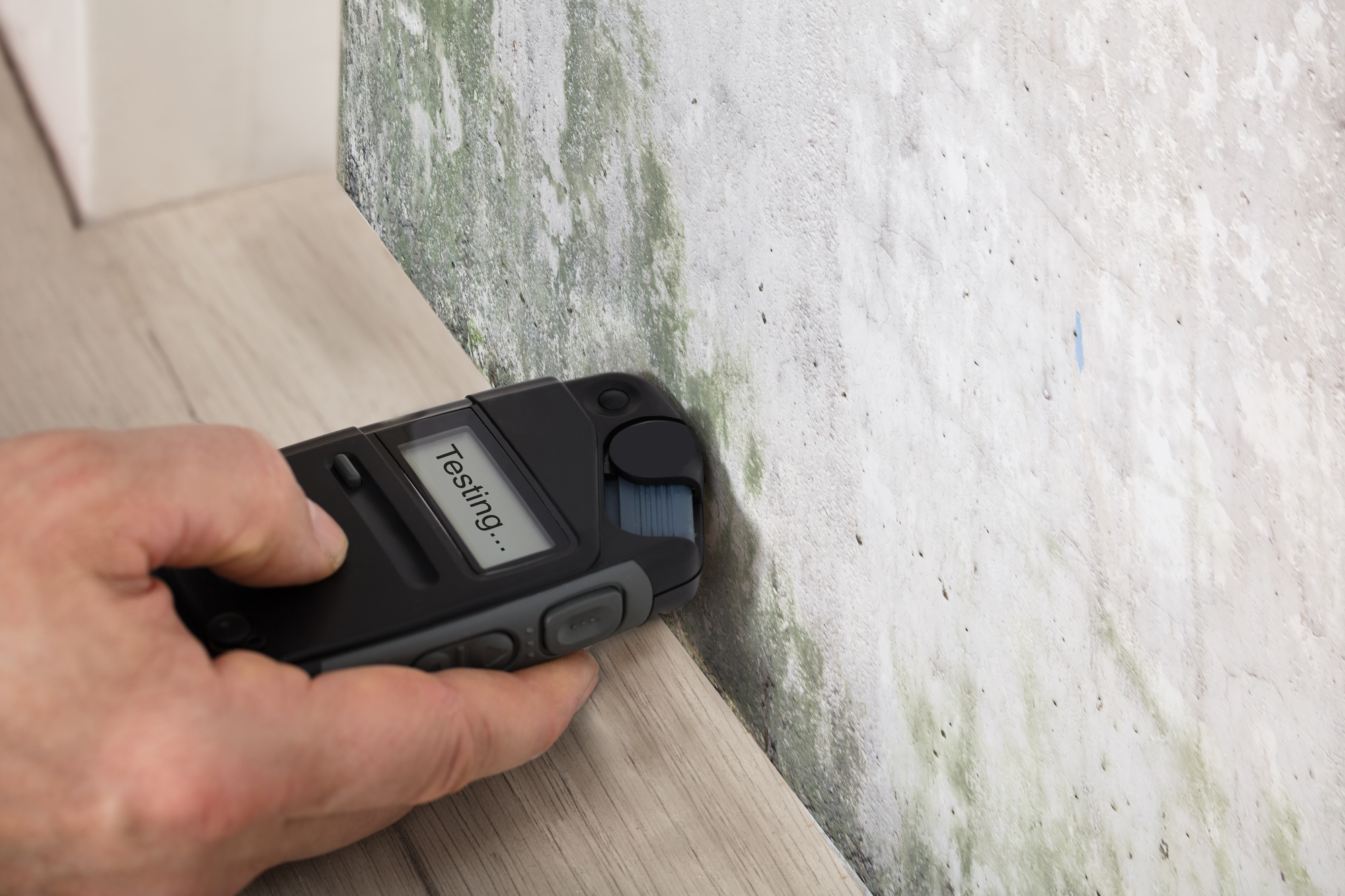 8 Signs That You Need Mold Inspection