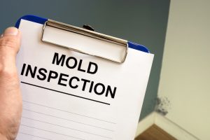 mold inspections