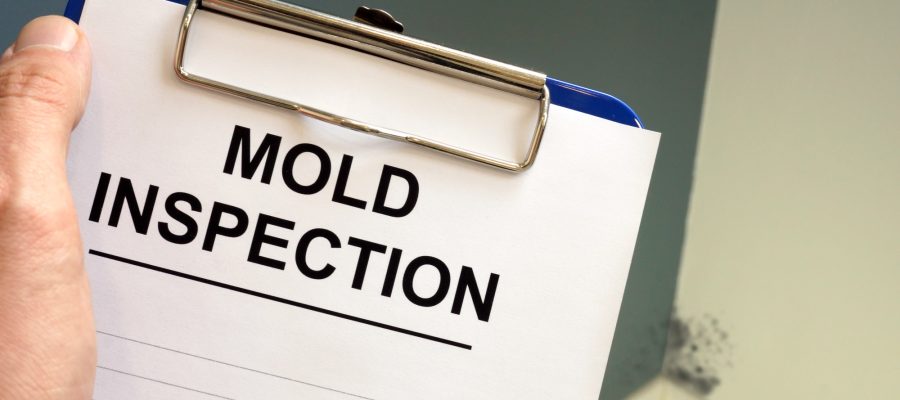 mold inspections